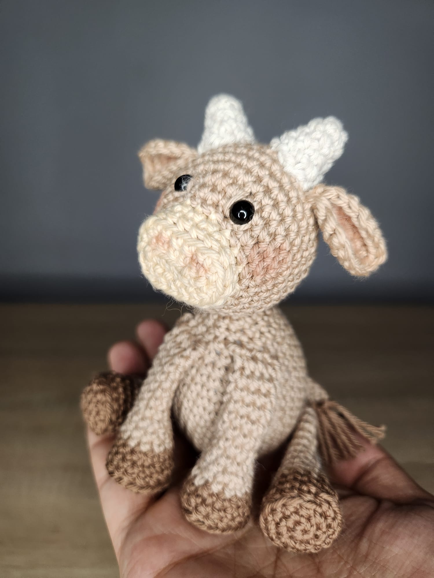 Nacimiento Belén Ganchillo - Imagen 7