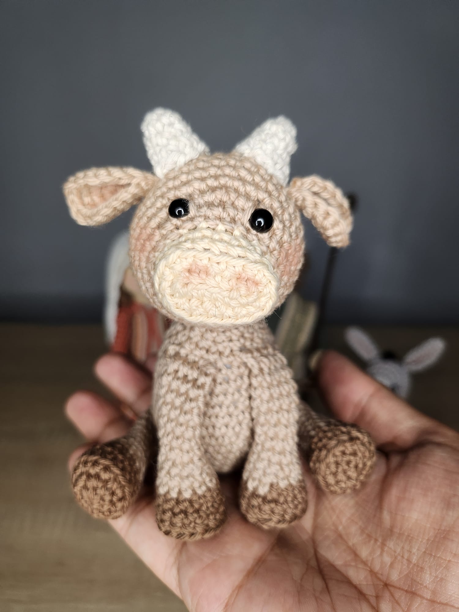 Nacimiento Belén Ganchillo - Imagen 5